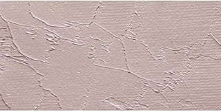 Gamblin Artist Oil 37Ml Portland Warm Grey