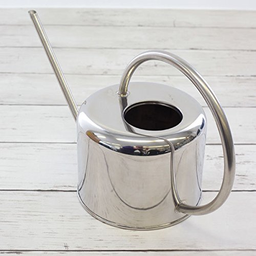 Arrosoir en acier chromé 1 litre design fin 36x13x18cm Esschert