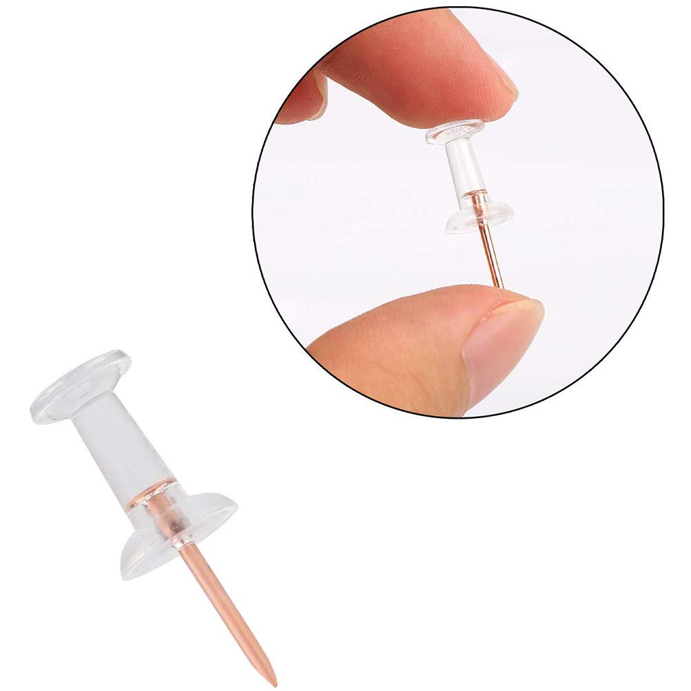 Chinchetas Plástico Transparente 100 Unidades - 1.6x1.2 Cm - Con Caja Almacenamiento