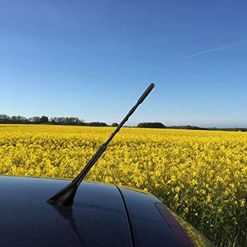 Facynde Antenna autoradio - Antenna Dab