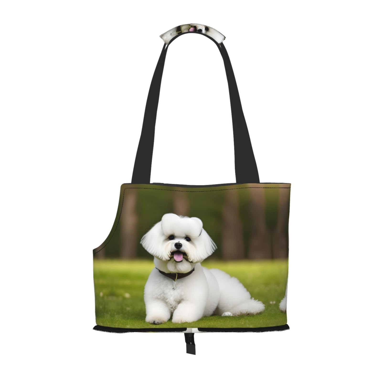 Sac de transport pour petits chiens et chats : voyagez sans stress