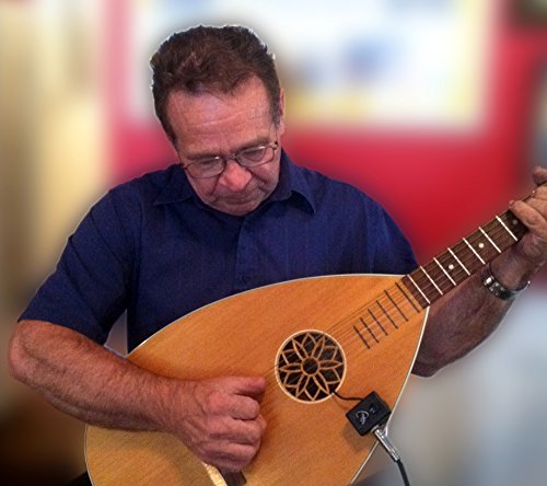 Mandolin Pickup With Flexible Micro-Gooseneck By Myers Pickups #TOP6