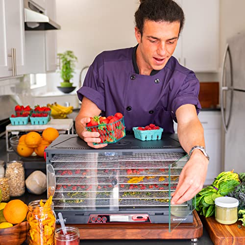 Image of Brod & Taylor SAHARA Folding Food Dehydrator (Stainless Steel Shelves)