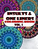 Insults & One Liners Vol1 (Insults, One liners and Dad Jokes)
