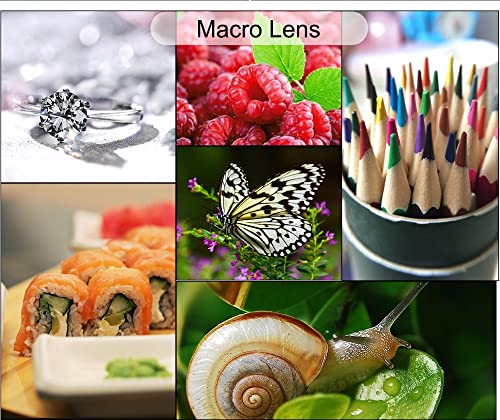 Cell Phone Camera Lens 2 In 1 Clip-On Lens Kit 0.45X Super Wide Angle & 12.5X Macro Phone Camera Lens For Iphone 8 7 6S 6 Plus 5S Samsung Android & Most Smartphones Black #TOP4