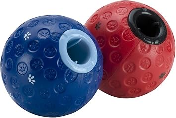 graduation stuffed dog