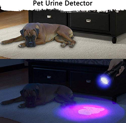 Control De Plagas, Home Improvement lampara luz ultravioleta steren Marca LOLO (3)