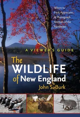 The Wildlife of New England: A Viewer's Guide book cover
