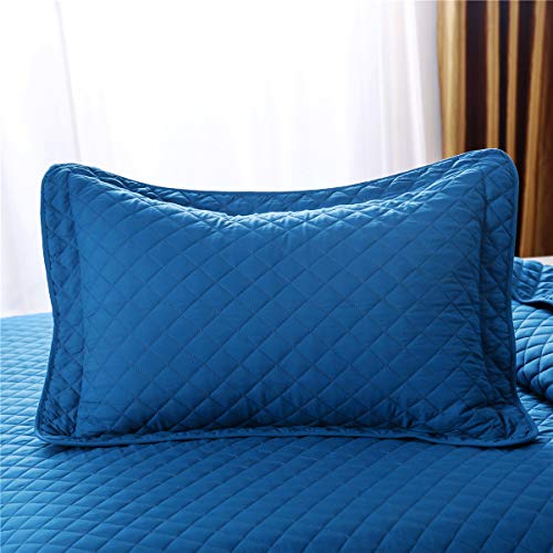 Cc&Dd-Premium Quilted Coverlet/ Bedspread Set, Double Brushed Microfiber Lightweight Bedspread For All Season (Queen (90"X96"), Classic Blue) #TOP2