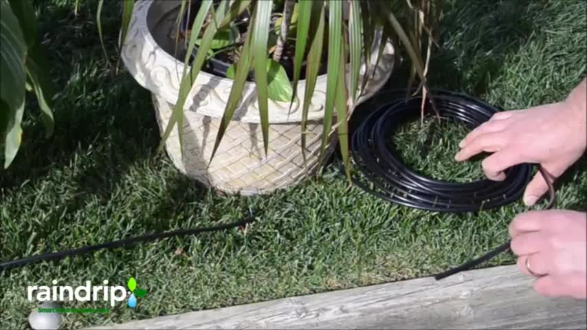 Raindrip R560DP Automatic Watering Kit