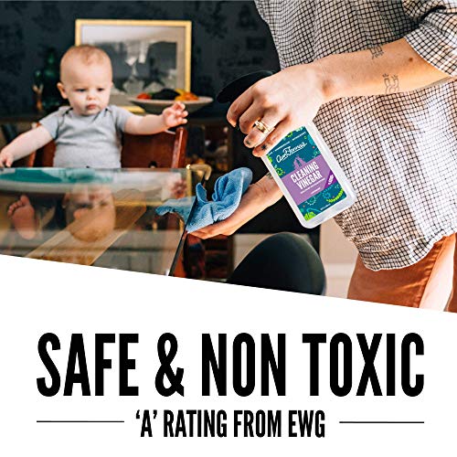 Aunt-Fannies-All-Purpose-Cleaning-Vinegar-Multisurface-Spray-Cleaner-169-Ounces-Lavender-Scent-Pack-of-1