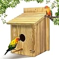 Bird House for Garden Birds Box UK with Detachable Perch Outside Hanging Wooden Houses Open Front Nesting Boxes Sparrow Robin Free Standing for Viewing (Wood color, One Size)
