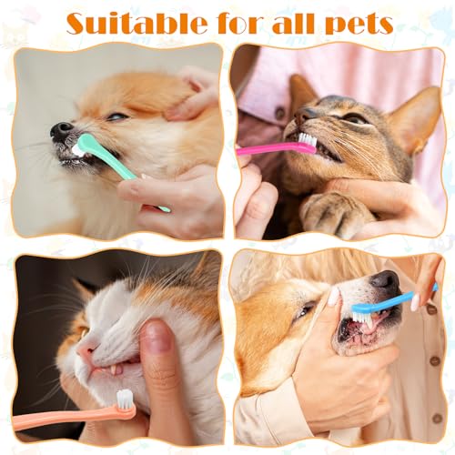 Tyqour 8 Stück Kleine Hund Zahnbürste Klein Weiche Hundezahnbürste für Kleine Hunde Katzen Zahnbürste Mini Tragbar Haustier Katzen Katzenzahnbürste für Katzen Hund Welpen Kätzchen Kleinen Rassen
