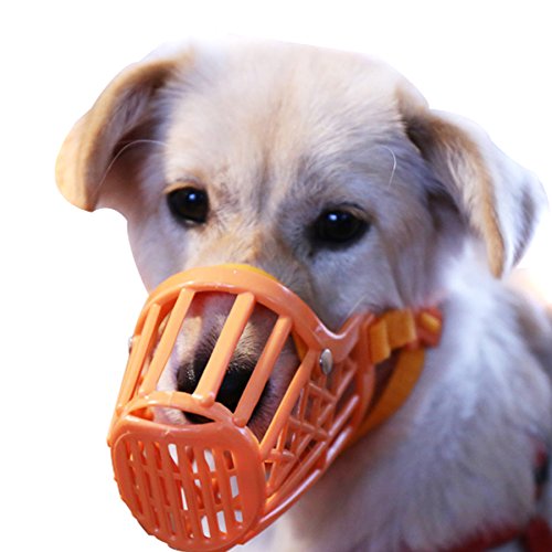 Alfie Pet - Paxton Adjustable Quick Fit Plastic Muzzle - Color: Orange, Size: Large #TOP1