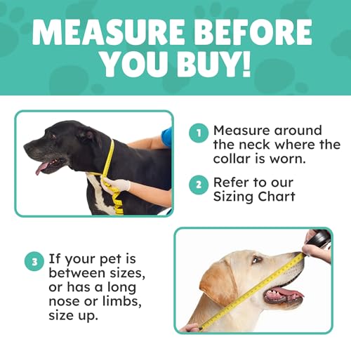 XL Large Dog Donut Collar - Inflatable Dog Cone Alternative for After Surgery Recovery. Donut Dog Cones for Large Dogs. Inflatable Dog Collars for After Surgery Donut Cone for Dogs XL Soft Cone