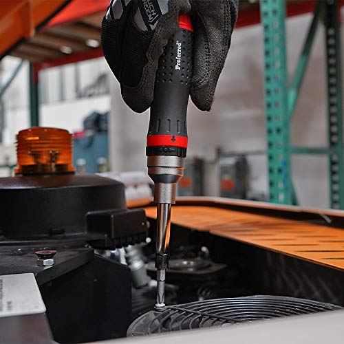 Proferred T29004 19Piece-In-1 Ratcheting Interchangeable Bit Screwdriver Set (1 Set)