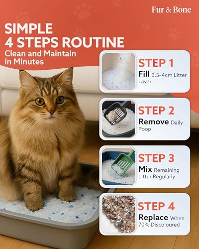 Fur & Bone 7.6L Silica Cat Litter - Non-Clumping Cat Litter Crystals - Ultra Absorbent, Fast-Drying & Low-Dust, Odor Control Crystal Granules, Easy to Clean for Housetraining Cats and Kittens - Image 4