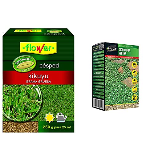 Flower 10793 10793-Semilla Kikuyo, 250 G, No Aplica, 10.3X3.7X14.5 Cm + Semillas De Césped Dichondra Repens 100G - Batlle