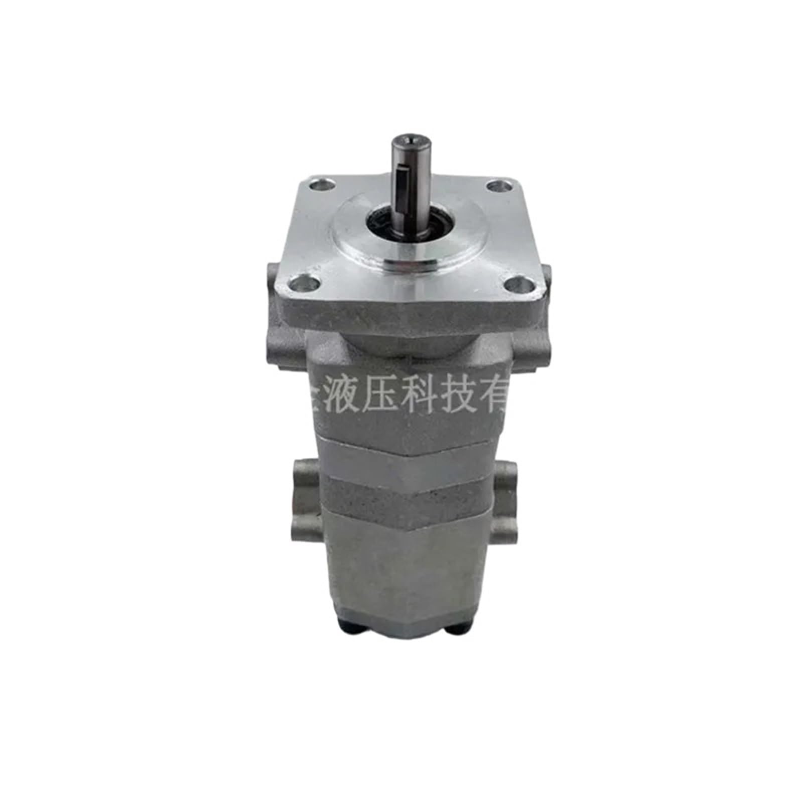 Knwhggkcv Hgp-22A-F3-3R 1Pc Hgp-22A-F6/6R Hgp-22A-F8/8R Double Gear Pump High Pressure Hydraulic Oil Pressure(Hgp-22A-F3-3R)
