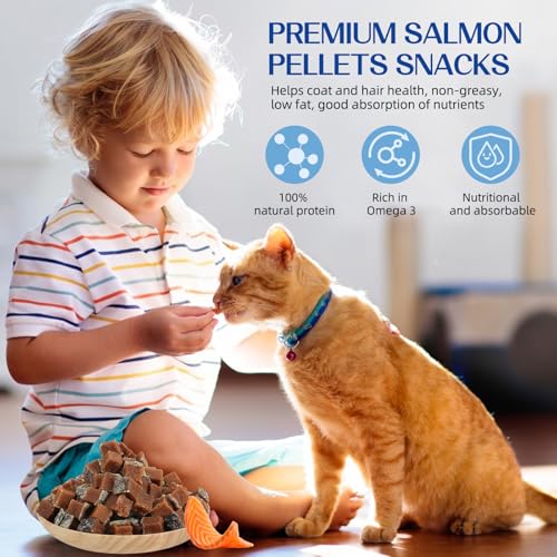 Lachs Hundeleckerlis,Hundetraining Leckerlis Belohnung, natürliche fettarme Lachssnacks für Hunde, reich an Omega 3, nahrhaft und Gute Absorption, gesunde Hundeleckerlis Hundesnack 100g
