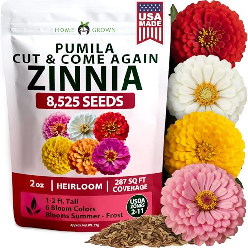 HOME GROWN Zinnia Seeds, Pumila Mix, 8,525 Seeds, Zinnia elegans