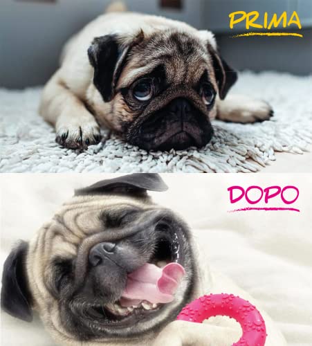 Mondo Idea Set 3 Giochi per Cani da Masticare