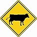U24 Aufkleber Vorsicht Kuh Kühe Rinder Autoaufkleber Sticker