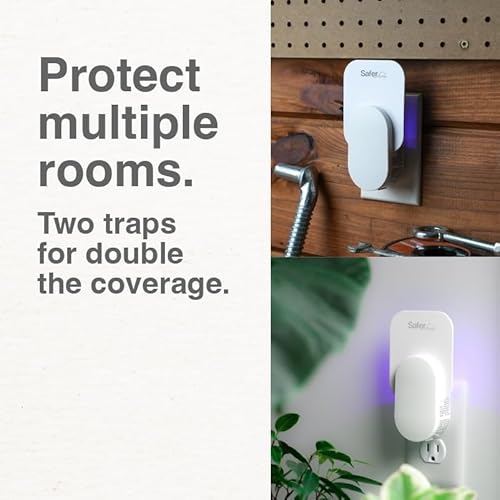 Safer Brand Home SH502-2R4SR 2 armadilhas para moscas, moscas da fruta, mariposas, mosquitos e outro