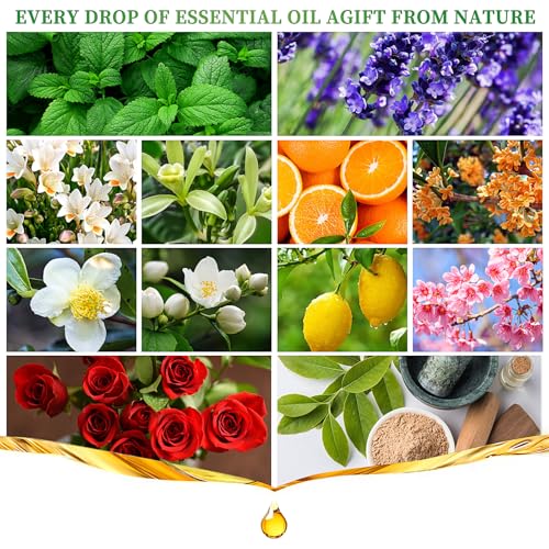 Essential Oils Set 12 Scents 10 ML Bottles Lavender Lemon Rose Jasmine Vanilla Sandalwood - image 3