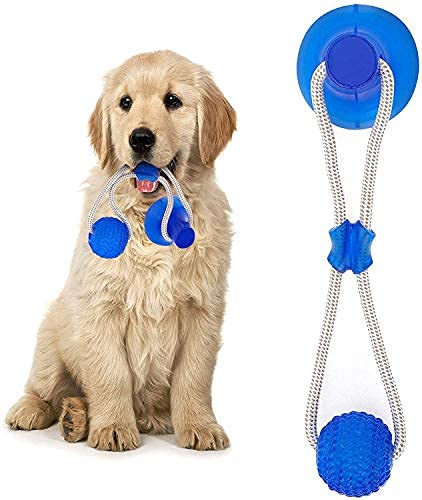 Pet Guard Pets Dog Teeth Molar Bite Chewing Tug of War Toys Floor Suction Cup with Ball (Single Pack, Blue) (B09FLT74M1) Amazon Price History, Amazon Price Tracker