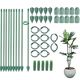 Pflanzenstütze,30cm Einstellbar Pflanzenhalter,10 PCS Staudenhalter mit 10 Pflanzenclips und 5 Verlängerungsrohren,Rankhilfe Zimmerpflanzen für Monstera Blume Orchideen Gurken Tomaten Rosen
