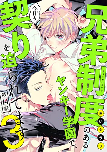兄弟制度のあるヤンキー学園で、今日も契りを迫られてます #14