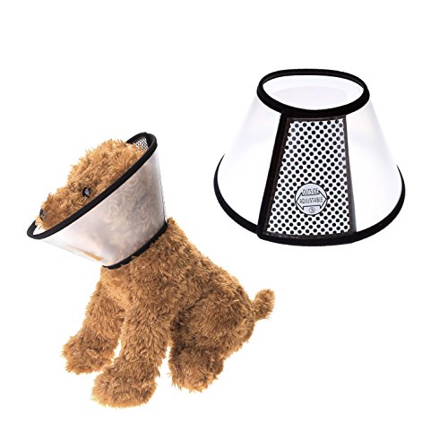 Mangostyle Collare Elisabettiano Collare