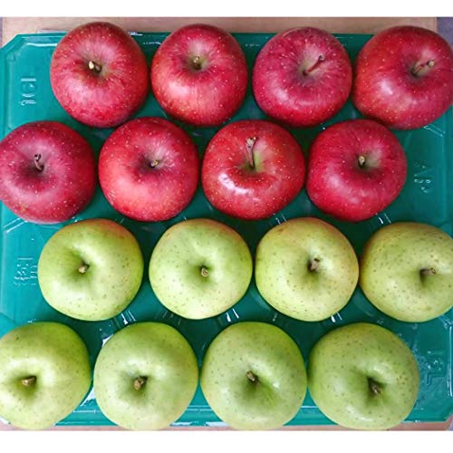 �X���Y �ƒ�p �󂠂��� �l�ߍ��킹5kg��(�T���ӂ��E����) ����_��