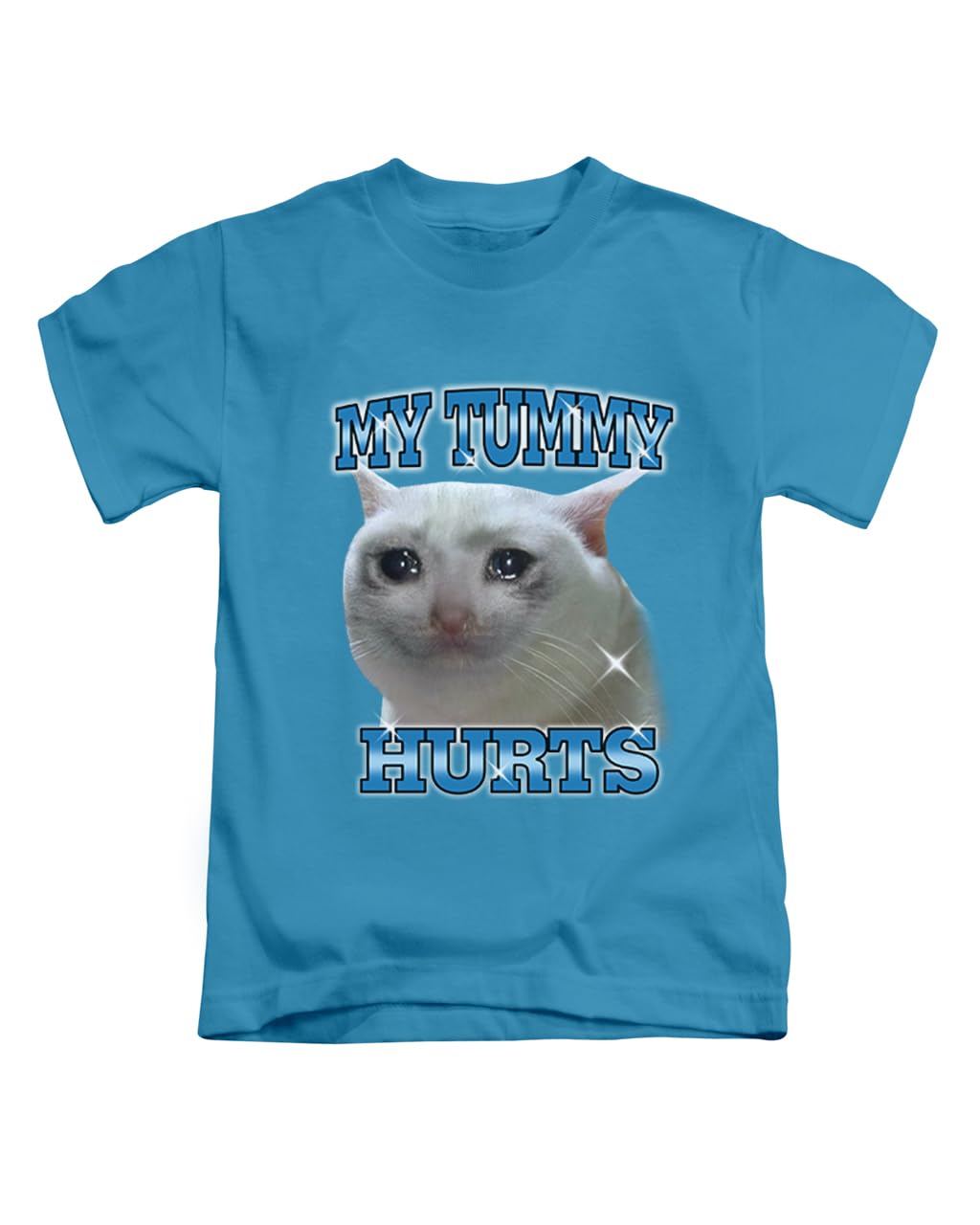 Taylor Brown Unisex Sapphire My Tummy Hurts Cat Meme Cats Novelty Humour Comedy Viral Fun Tee T-Shirt Funny T Shirt Top