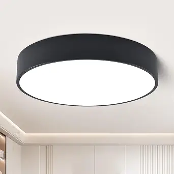 18.1-inch Oversized Dimmable LED Ceiling Light Fixture, 42W