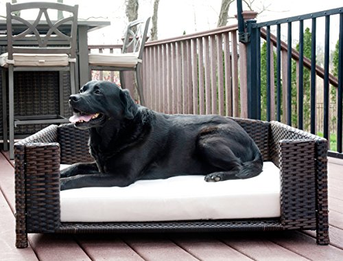 Rattan Medium Rectangular Pet Bed, Indoor/Outdoor #TOP4