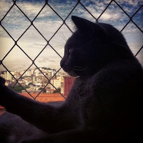 Kit Completo Rede Tela De Proteção Para Apartamentos, Sacadas, Janelas, Gatos e Crianças (Preta, 2m