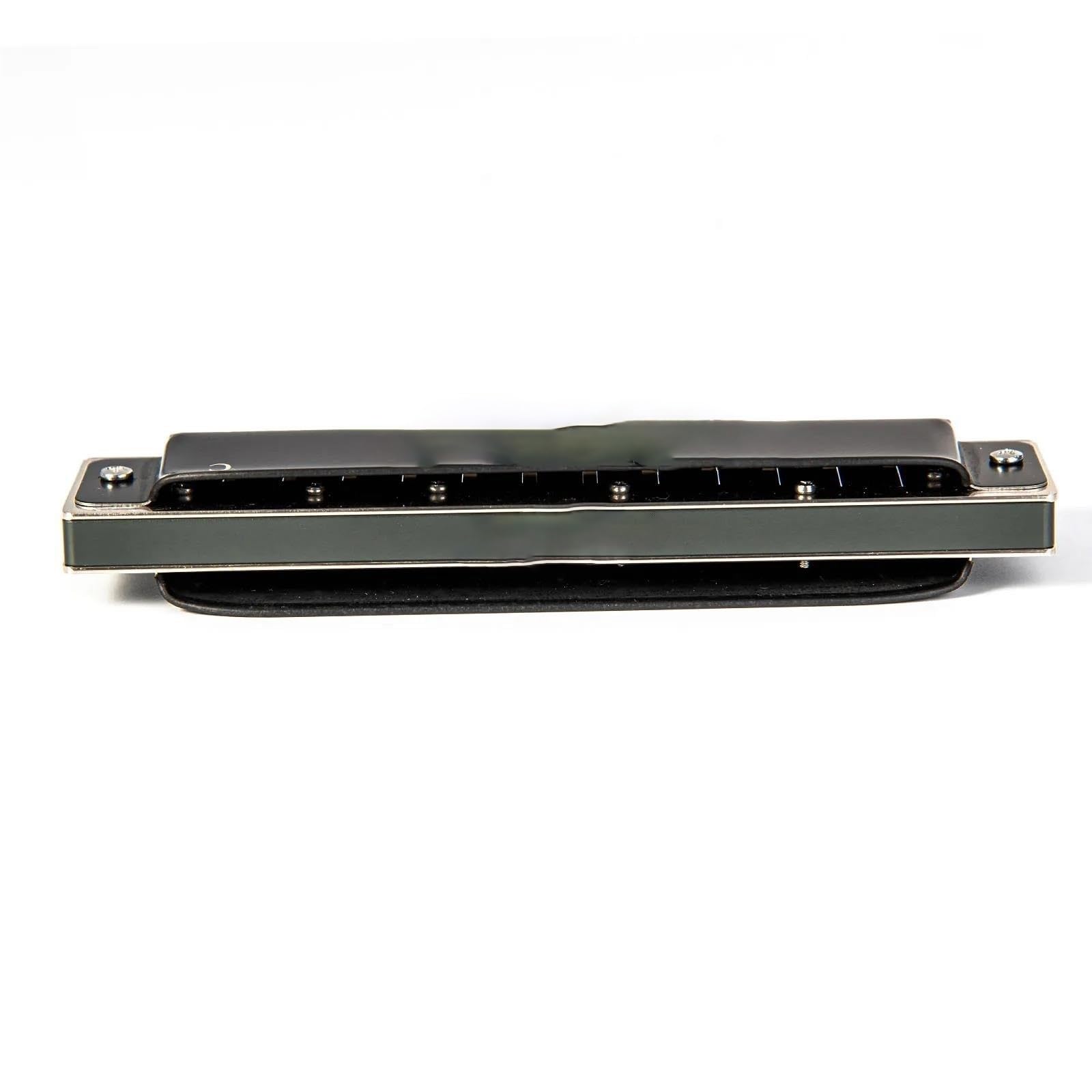 Armonica Armonica Blues A 12 Fori Diatonica Tonalità Do Nero