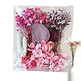 Getrocknete - Natural Erhaltene Blumenblätter -Kit Mit Lebendigen Farben, Perfekt Für Fotorahmen, Harzkunst, Kerzenherstellung Und Handwerksprojekte | A5 -Beutel Mit Gepressten , Geei