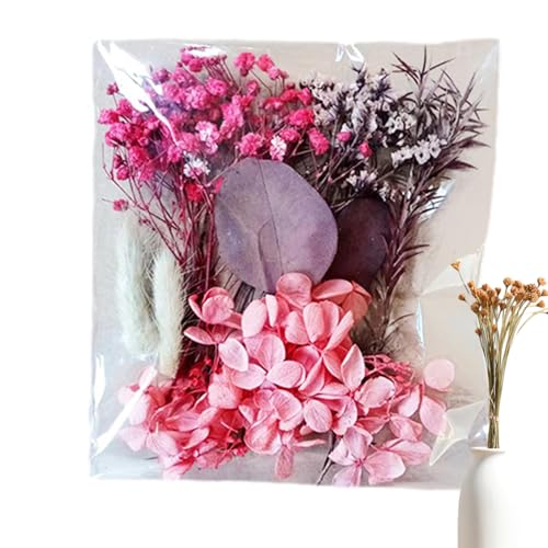 phCt[,hCt[ | t[Vbvt[AWgDIYLbg,Ԃ̗tN₩ȁAN₩ȃW[hAtHgt[ADIYAp