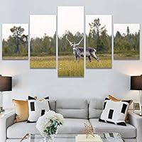 SIGNWIN 5 Panel Canvas Wall Art Animals Cheetah Closeup Contemporary Expressive Modern Artwork for Home Decorations Ready to Hang - 60