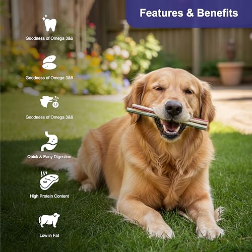 Image of Non-Rawhide Chews Lotus Root Stick for Dogs (225g, Pack of 2) Safe & Digestible Treats