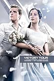 The Hunger Games: Catching Fire Movie Poster Print (11 x 17)