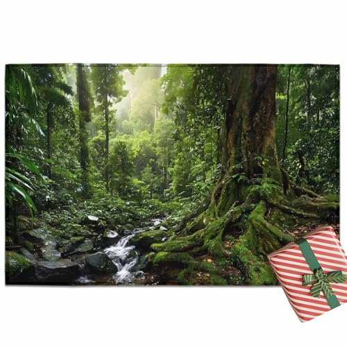 Vamjump փ}bg hA}bg i X  炬  ΐF O  ~ Ɩp ƒp GgX DƂ z O[ 50x80cm