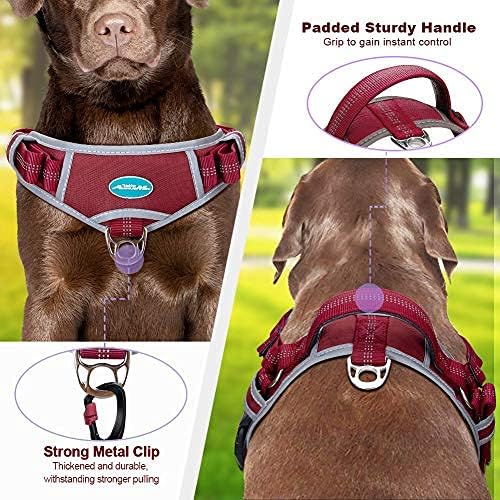 ThinkPet Dog Vest Halter Harness -No Pull Dog Harness with Handle for Large Medium Small Dogs Puppy Training Escape Proof Heavy Duty Front and Back Clip Comfortable Padded Sport Harness for Easy Walk
