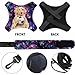 WIRESTER Solo Soccer Trainer with Adjustable Waist Belt, Volleyball Training Equipment Aid, Football Kick Throw Practice Training Control Skills - Golden Retriever with Soccer Ball On Purple Galaxy
