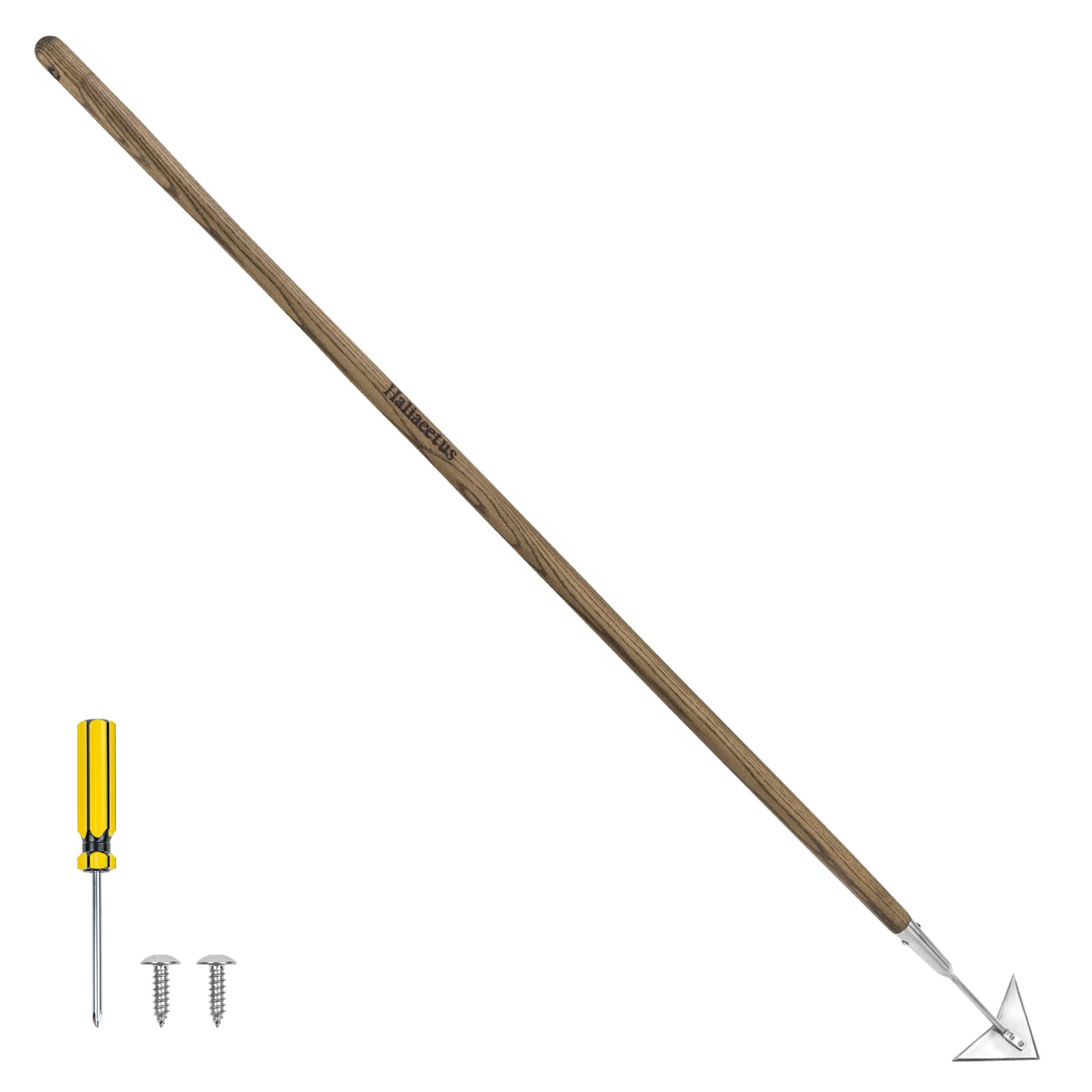 Haliaeetus Triangle