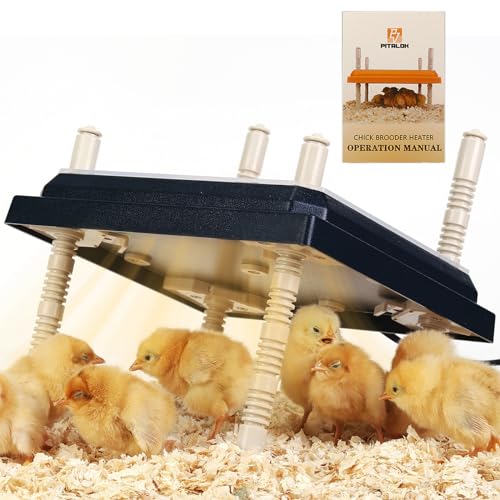 Pitalok Brooder Heater for Chicks: Chick Brooder Heating Plate with Easy- Cleaning Plate Poultry Coop Heater Chicks Warmer 10 x 10 for 15 Chicks Adjustable Height Brooding Heater 15 Watts