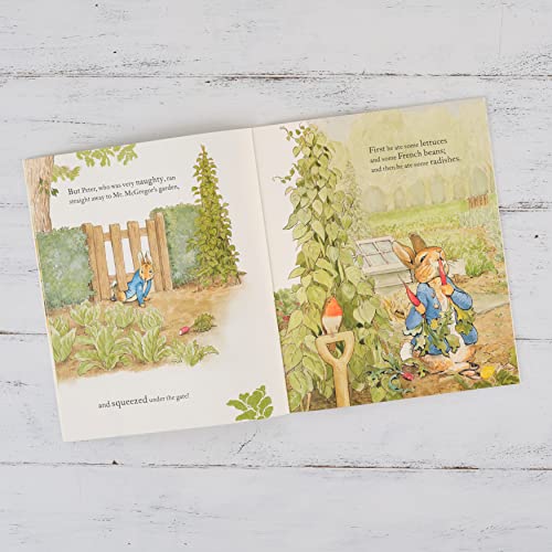Image of The Tale of Peter Rabbit Picture Book